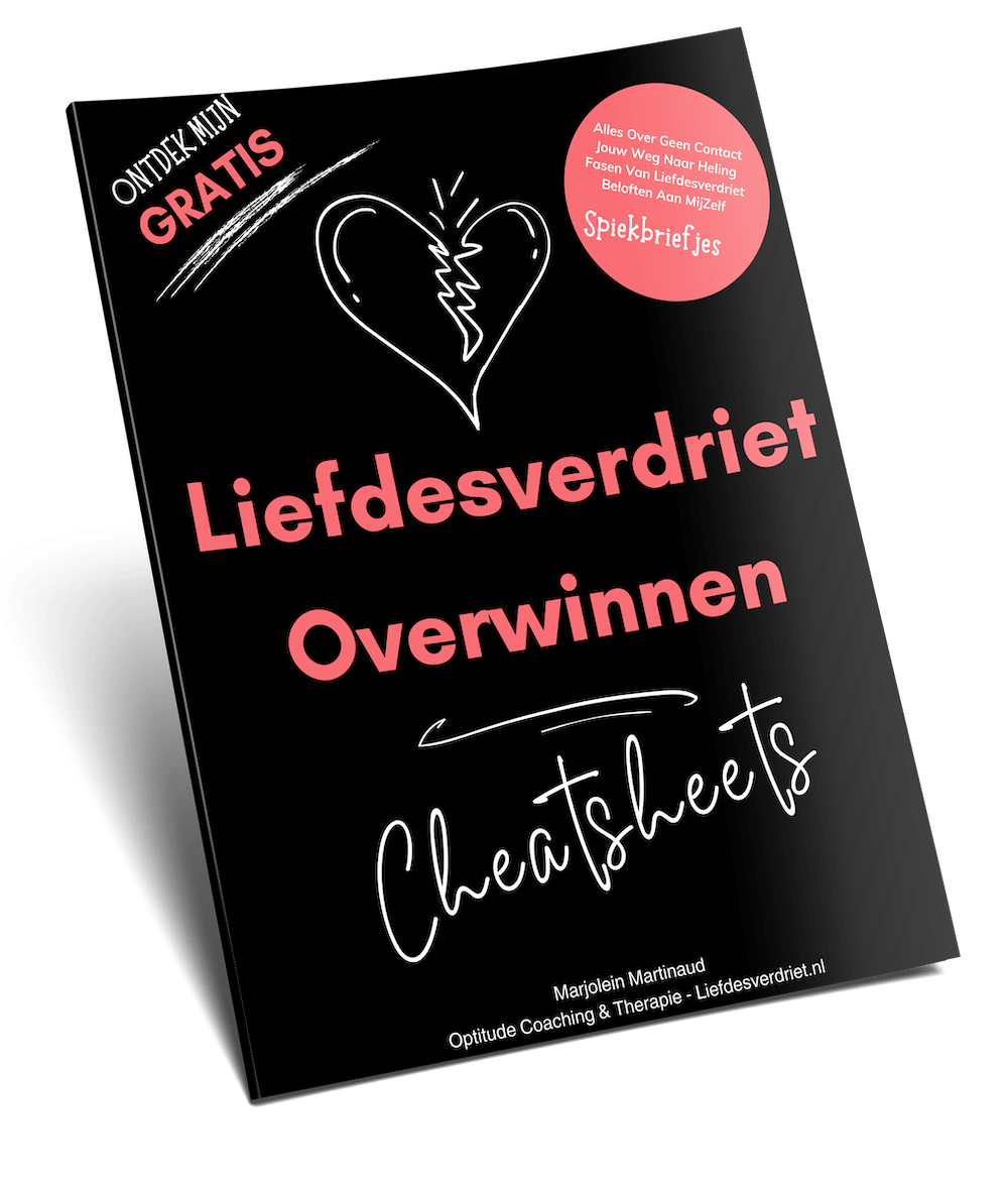 Liefdesverdriet overwinnen Ebook