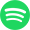spotify icoon
