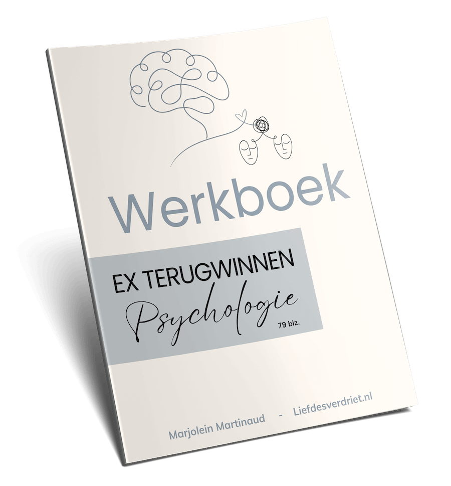 Ex Terugwinnen Psychologie Werkboek